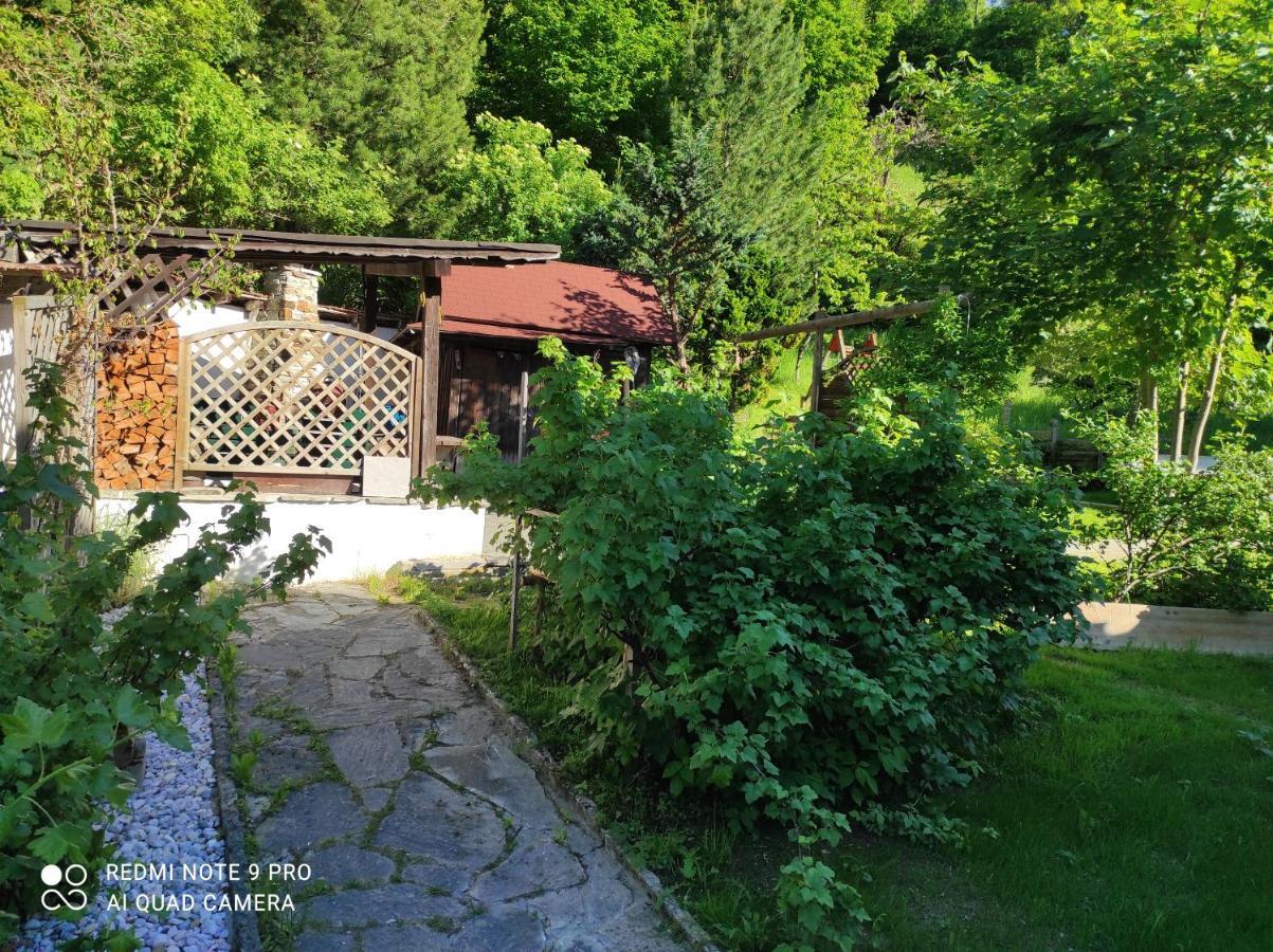 Ferienhaus Kraiter Daire Schladming Dış mekan fotoğraf