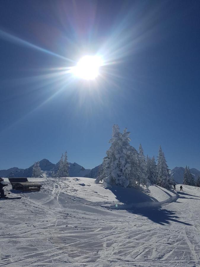 Ferienhaus Kraiter Daire Schladming Dış mekan fotoğraf