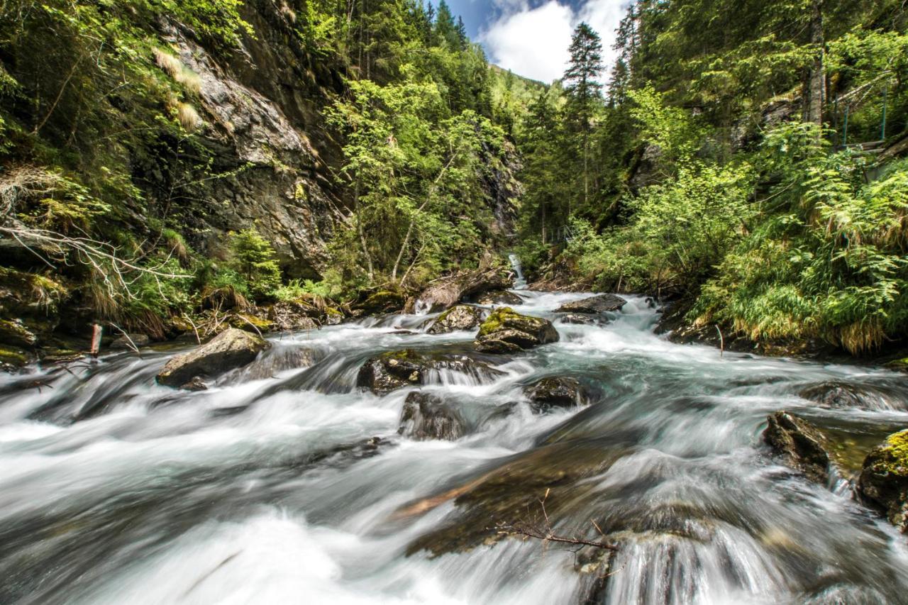 Ferienhaus Kraiter Daire Schladming Dış mekan fotoğraf